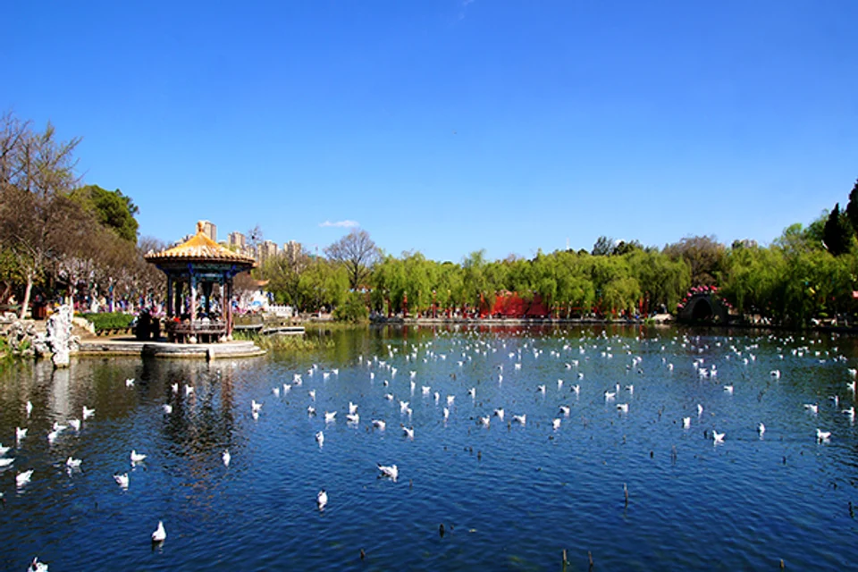Kunming Muslim Heritage & City Walk
