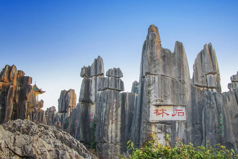 Stone Forest