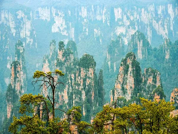 Sandstone peaks of Zhangjiajie National Forest Park