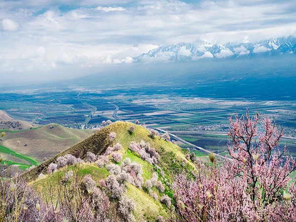 Spring blossoms and mountain weather in Ili