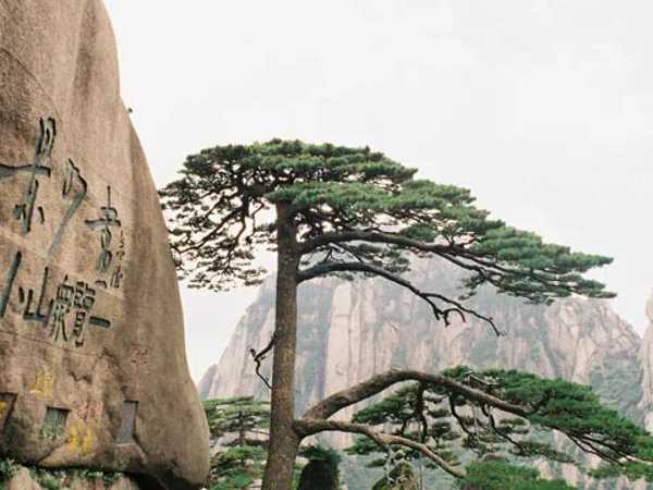 Granite peaks and pine trees on Mount Huangshan