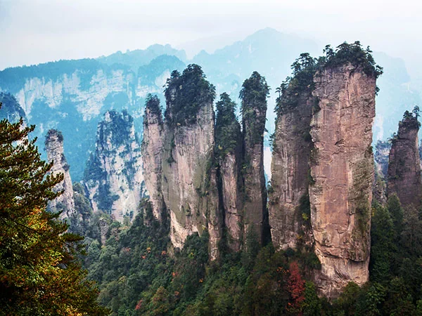 Sandstone pillars in Zhangjiajie National Forest Park