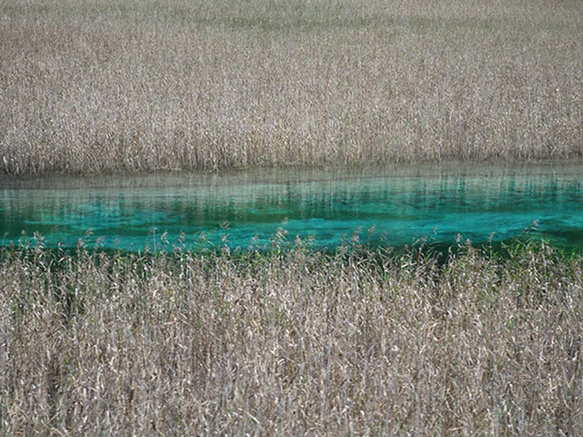 Reed Lake in Jiuzhaigou Valley