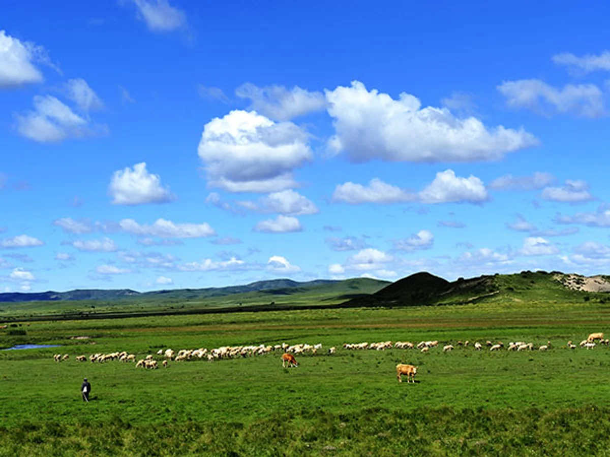 Highland Grassland in Western Sichuan Highland Grassland in Western Sichuan