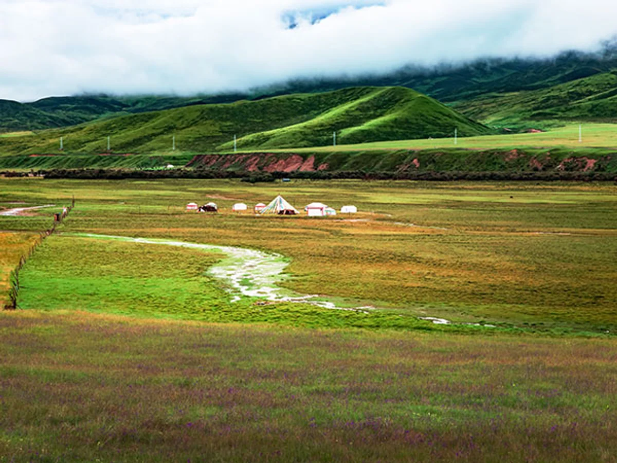 Highland Grassland in Western Sichuan Highland Grassland in Western Sichuan