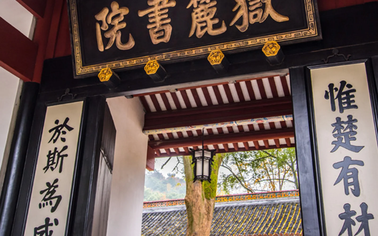 One day Changsha City Tour