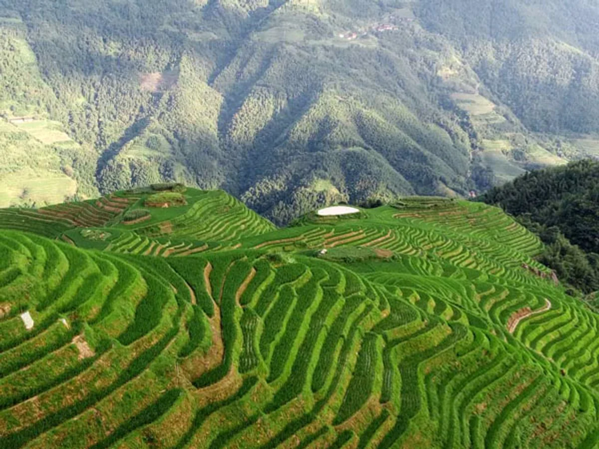 Longji Old Village Cultural Terraced Fields