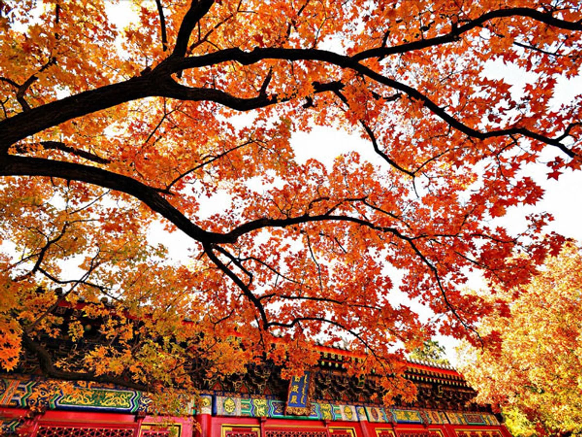 Fragrant Hills Park