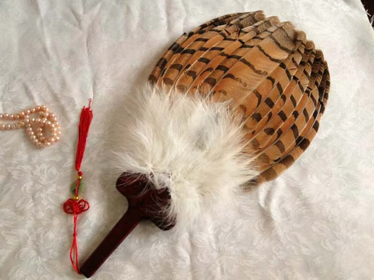 Chinese Fan