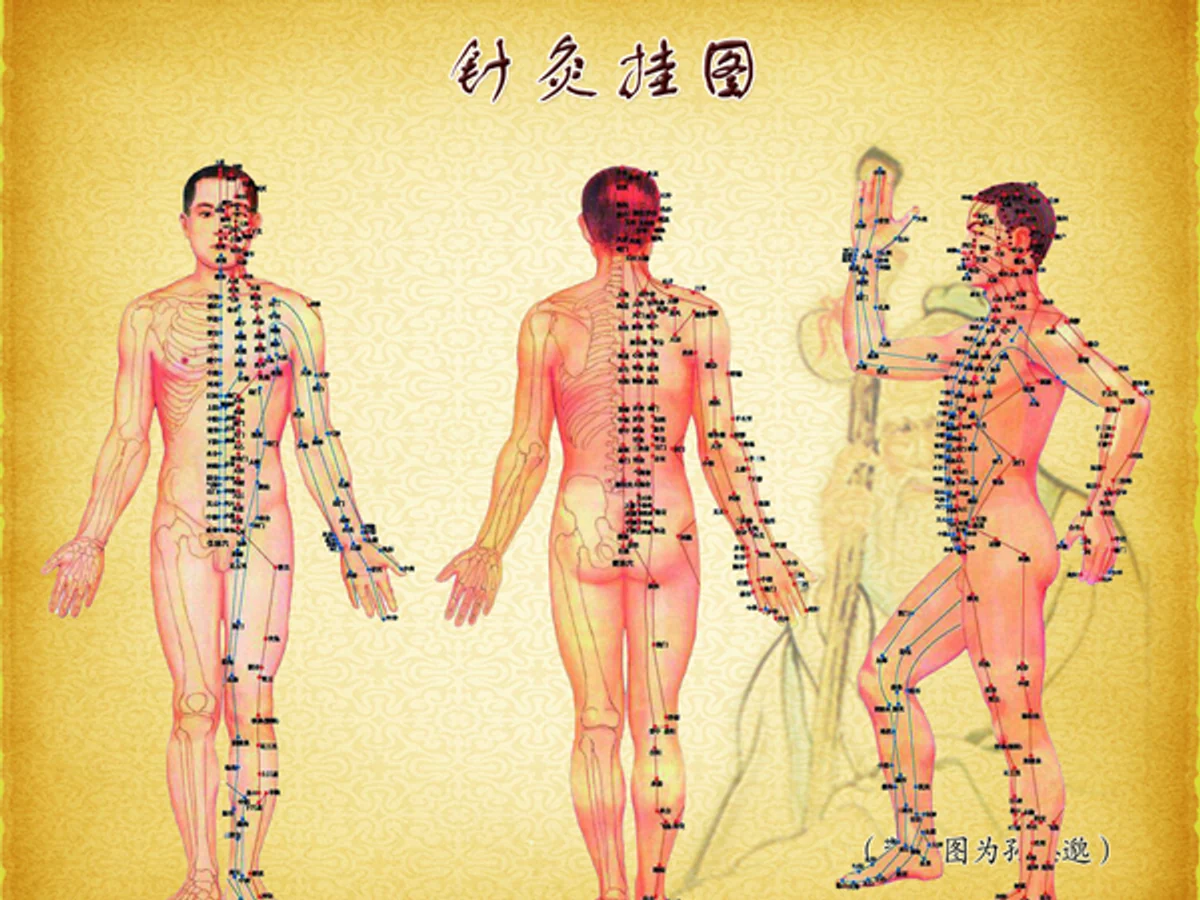 traditional chinese medicine traditional chinese medicine