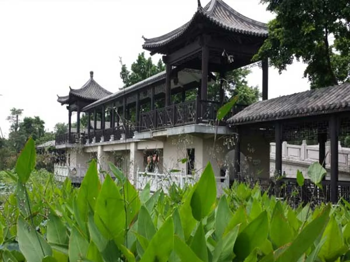 Sanshui Lotus Theme Park Sanshui Lotus Theme Park
