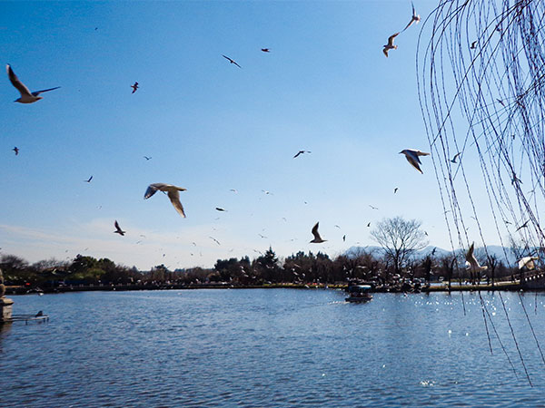 Dianchi Lake in Kunming