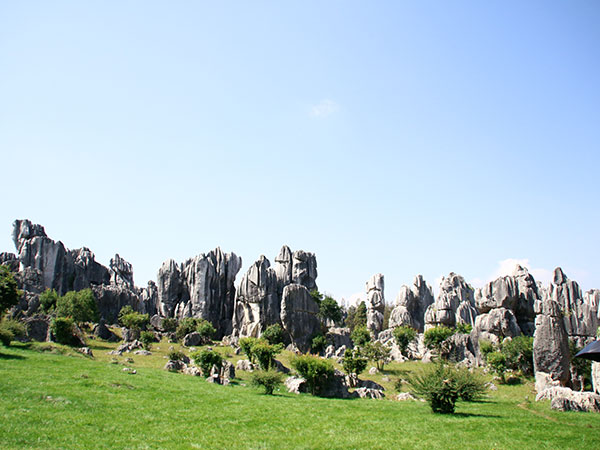 Limestone formations at the Stone Forest near Kunming
