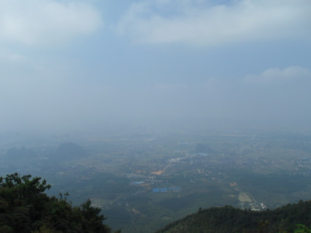 SDC13733