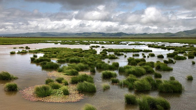 Flower lake 01