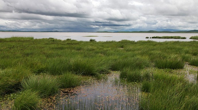 Flower lake 02