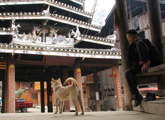 Guizhou zhaoxing 12