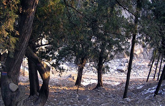 Mountain tai climbing 06
