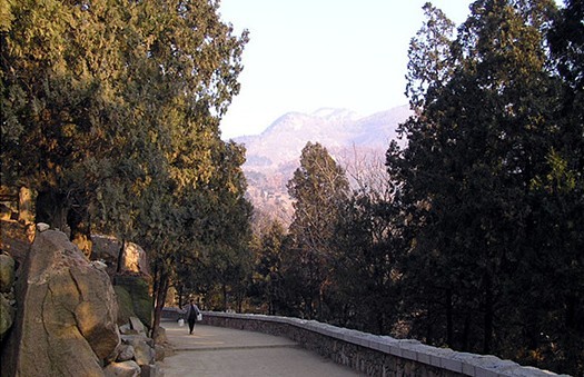 Mountain tai climbing 08