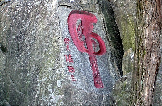 Mountain tai climbing 18