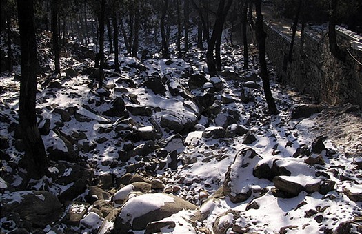 Mountain tai climbing 21