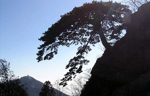 Mountain tai climbing 30