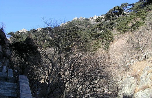 Mountain tai climbing 32