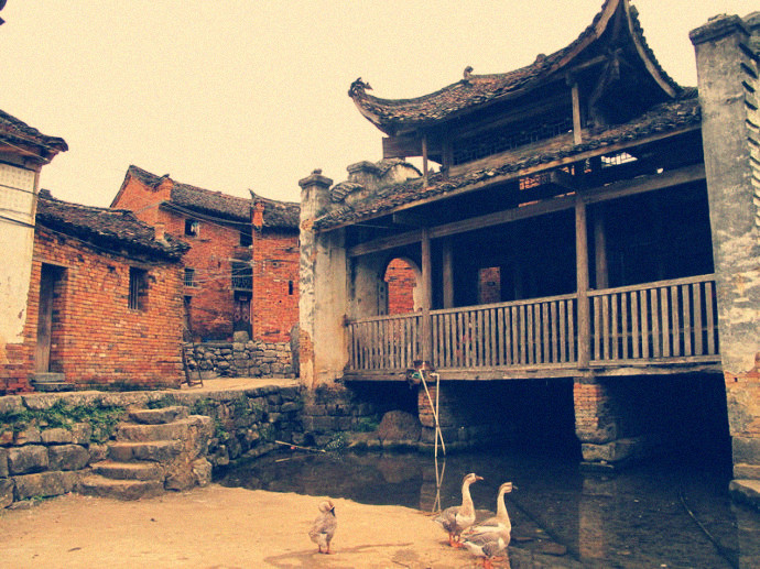 Fuxi 5