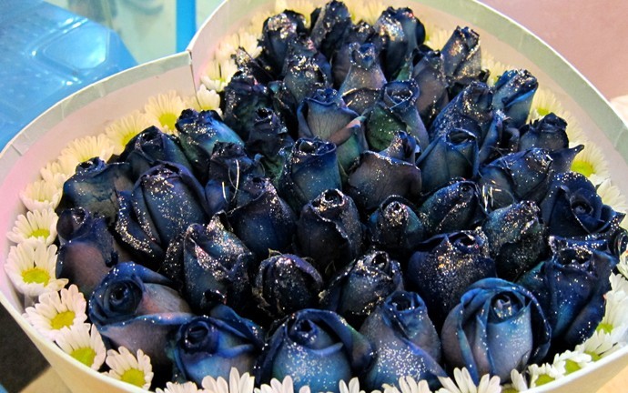 Kunming flower market 07