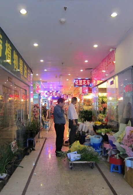 Kunming flower market 09