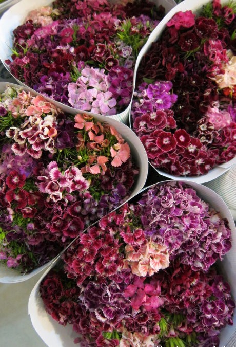 Kunming flower market 10