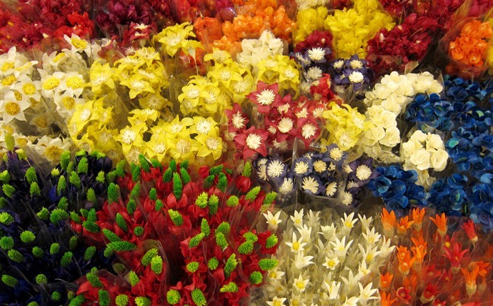 Kunming flower market 11