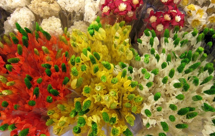 Kunming flower market 12