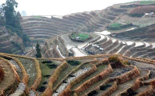 Longji trekking 02