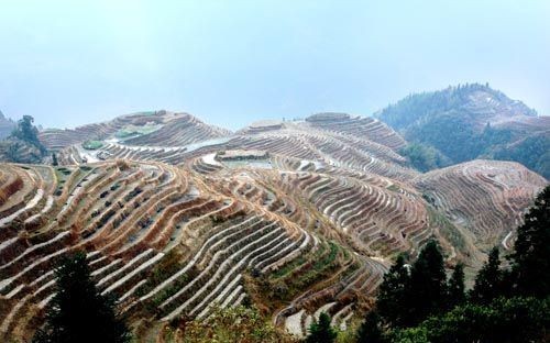 Longji trekking 04