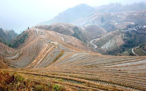 Longji trekking 06