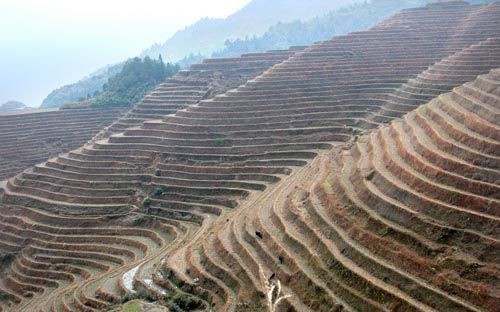 Longji trekking 09