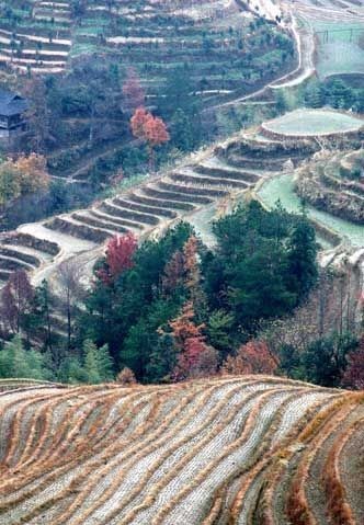 Longji trekking 13