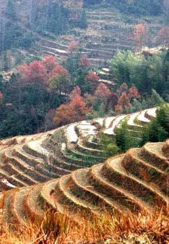 Longji trekking 16