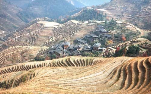 Longji trekking 19