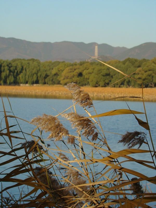 Summer palace trip 07