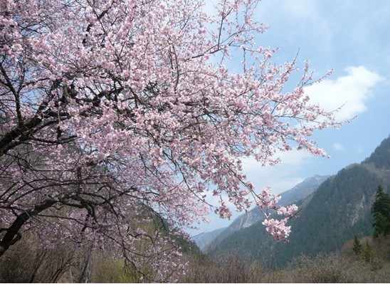 My trip to jiuzhai 01
