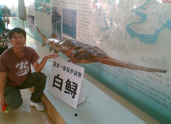 China holiday 9