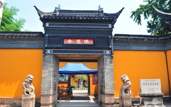 Luzhi 08