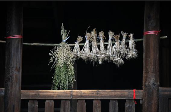 Tulou 07
