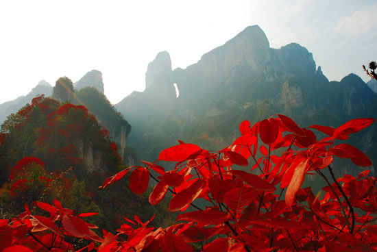 My Journey to Tianmen Mountain