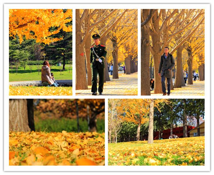 Beijign autumn trip004