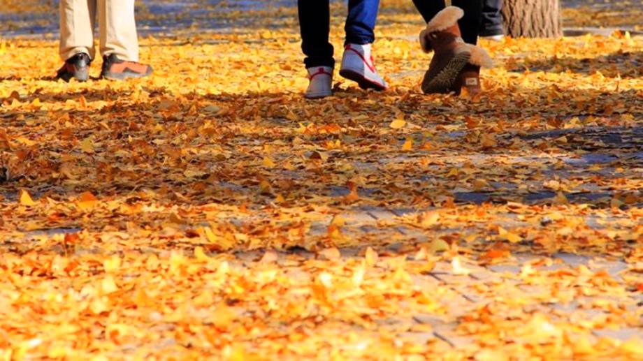 Beijign autumn trip056