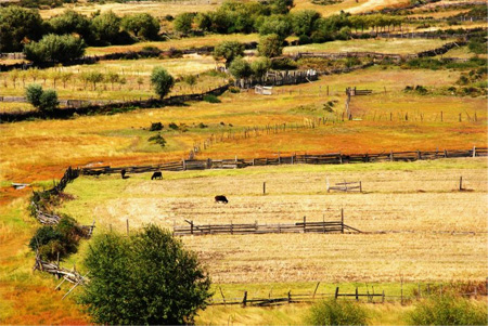 Tibet nyingchi travelogue 01