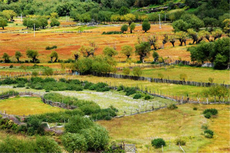 Tibet nyingchi travelogue 04